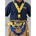 Rescue Harnesses image